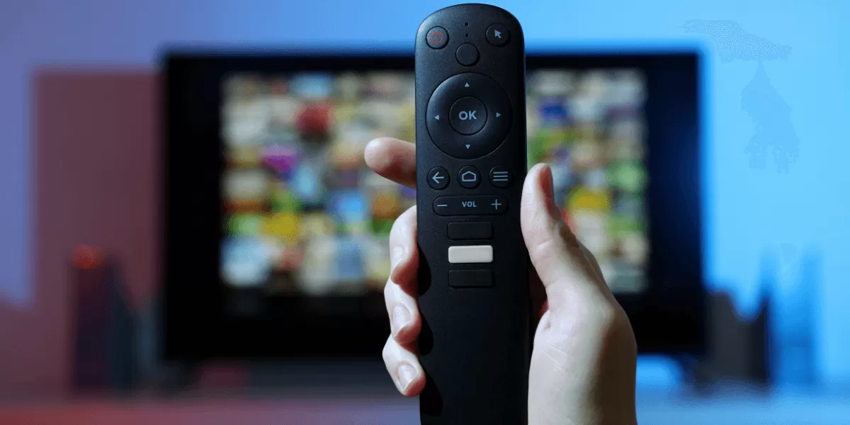Blog 7 Honey Bee IPTV